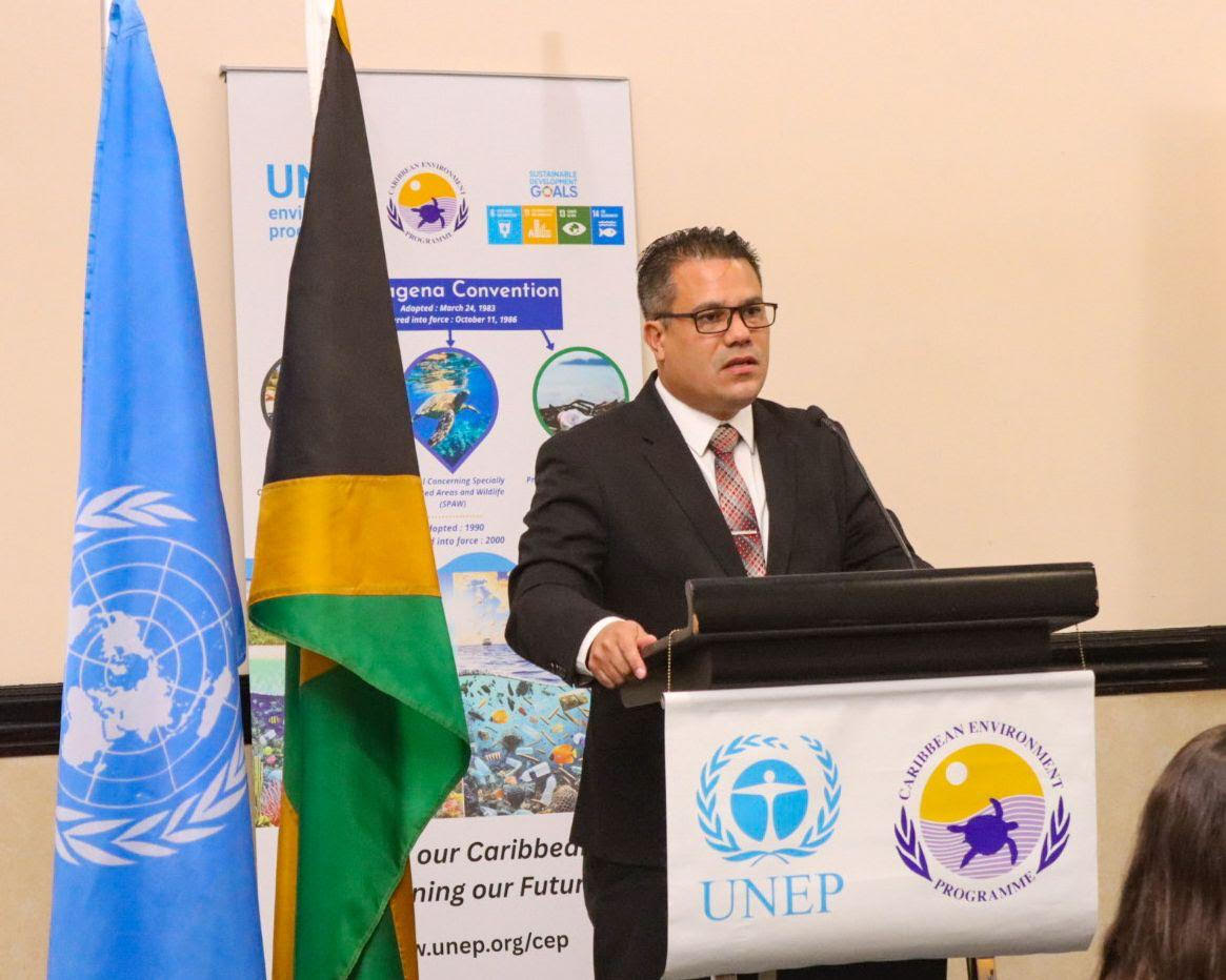 Jamaica moves to ratify key marine protection treaty under Cartagena Convention - Jamaica Observer