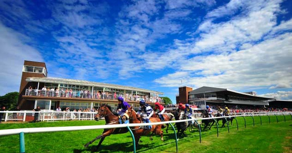 'She is massively improved and can win again' - Jason Heavey's racing tips - Daily Star