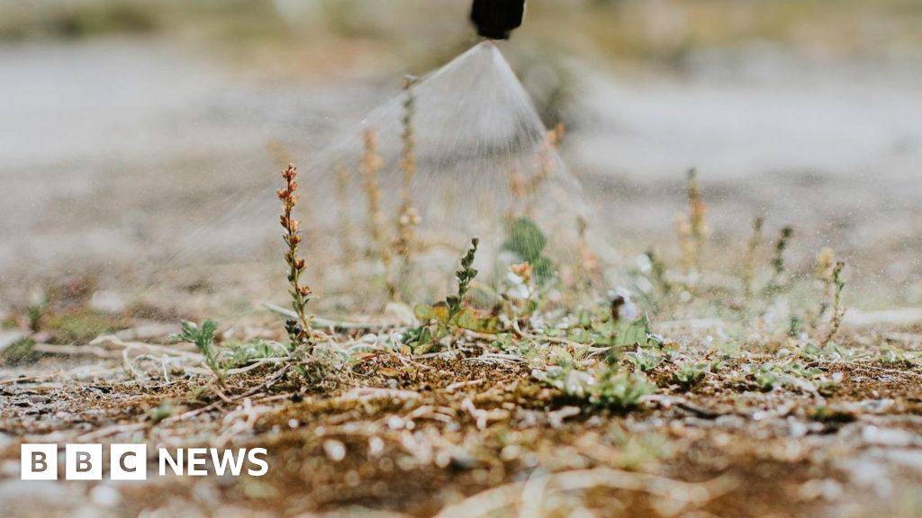 Jersey minister rules out ban on controversial weedkiller glyphospate
