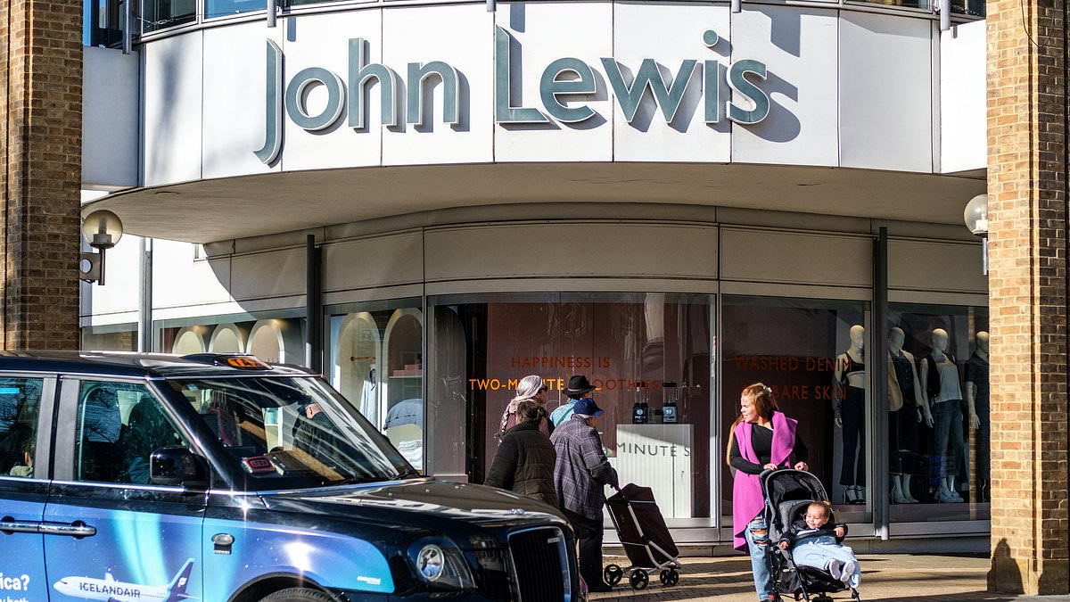 Yours for just £12,000, John Lewis's second-hand Birkin