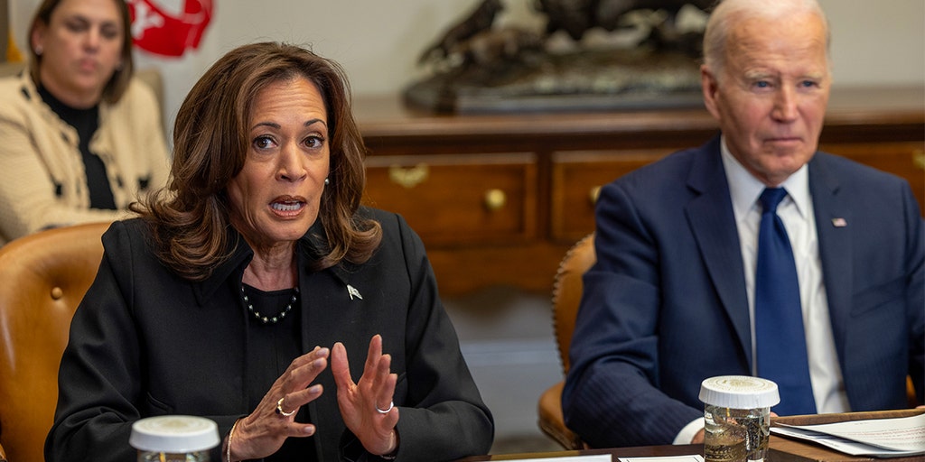 Kamala Harris grilled by BBC journalist on why she didn't raise concerns about Biden's capacity