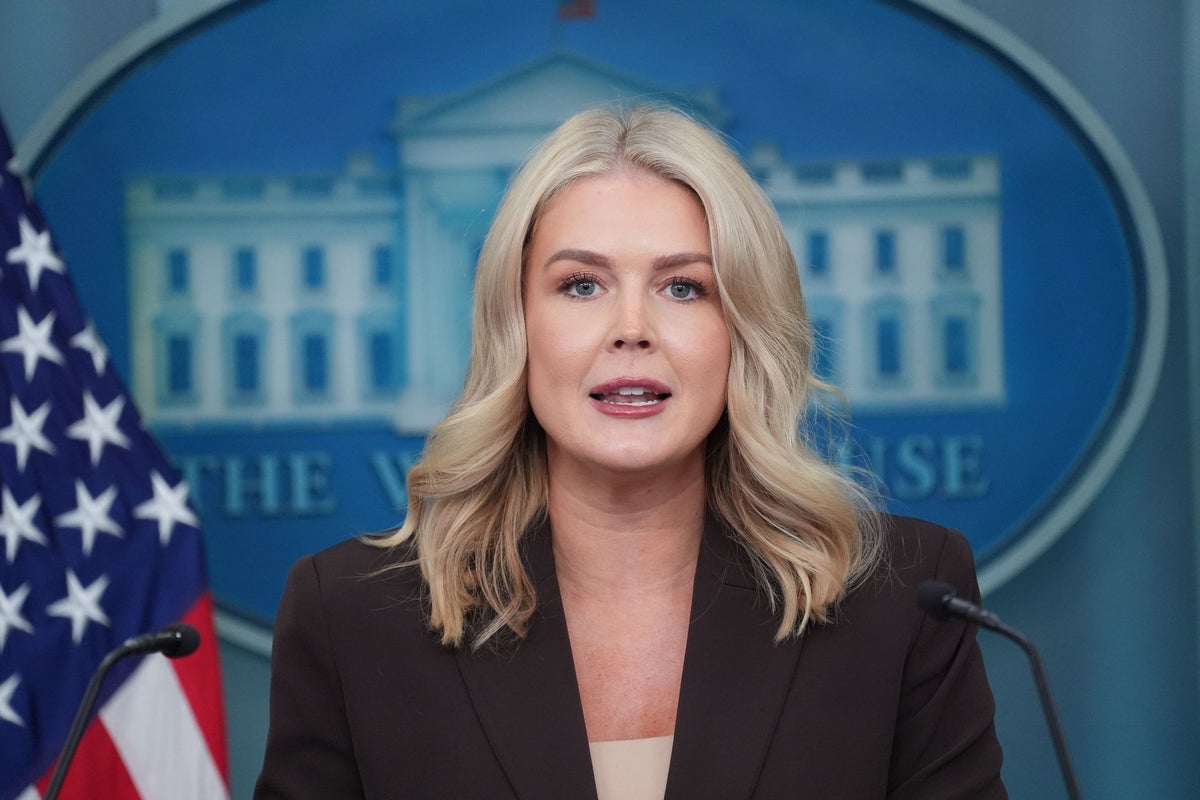 Karoline Leavitt calls Democratic base 'Hamas terrorists, illegal aliens'