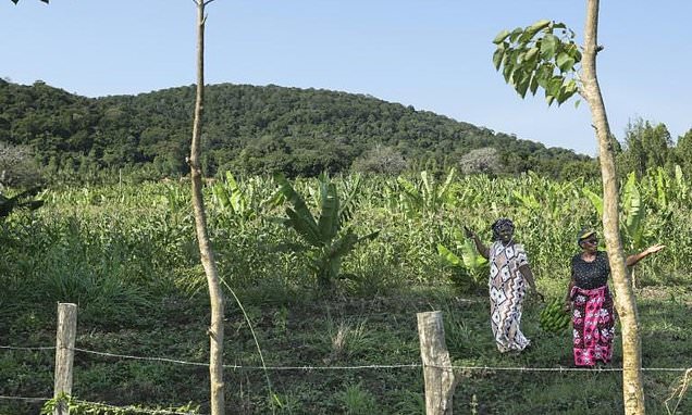 Global race for rare earths comes to Kenya's Mrima Hill