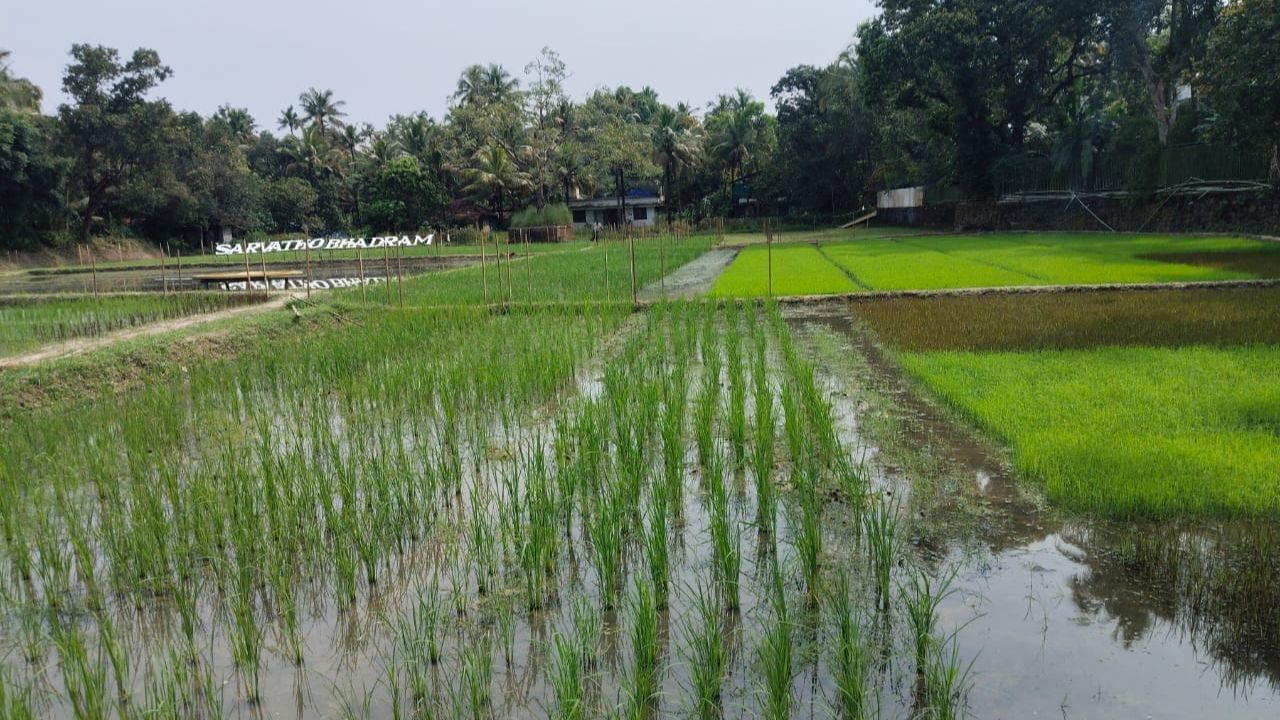 How Sarvathobhadram Organics is Reviving Kerala's Forgotten Rice Legacy