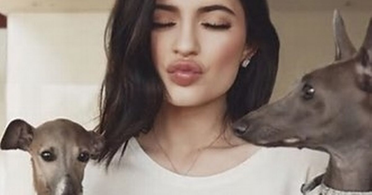 Kylie Jenner's heartbreak as beloved dog Norman dies after almost 13 years - The Mirror