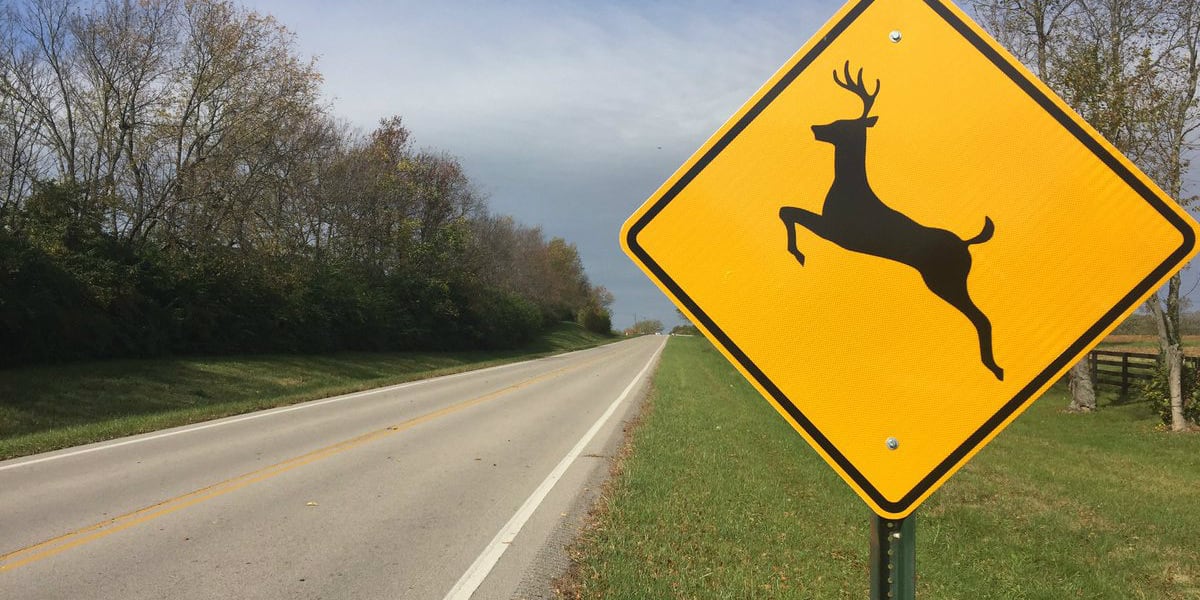 KYTC issues annual 'Antler Alert' for Ky. drivers