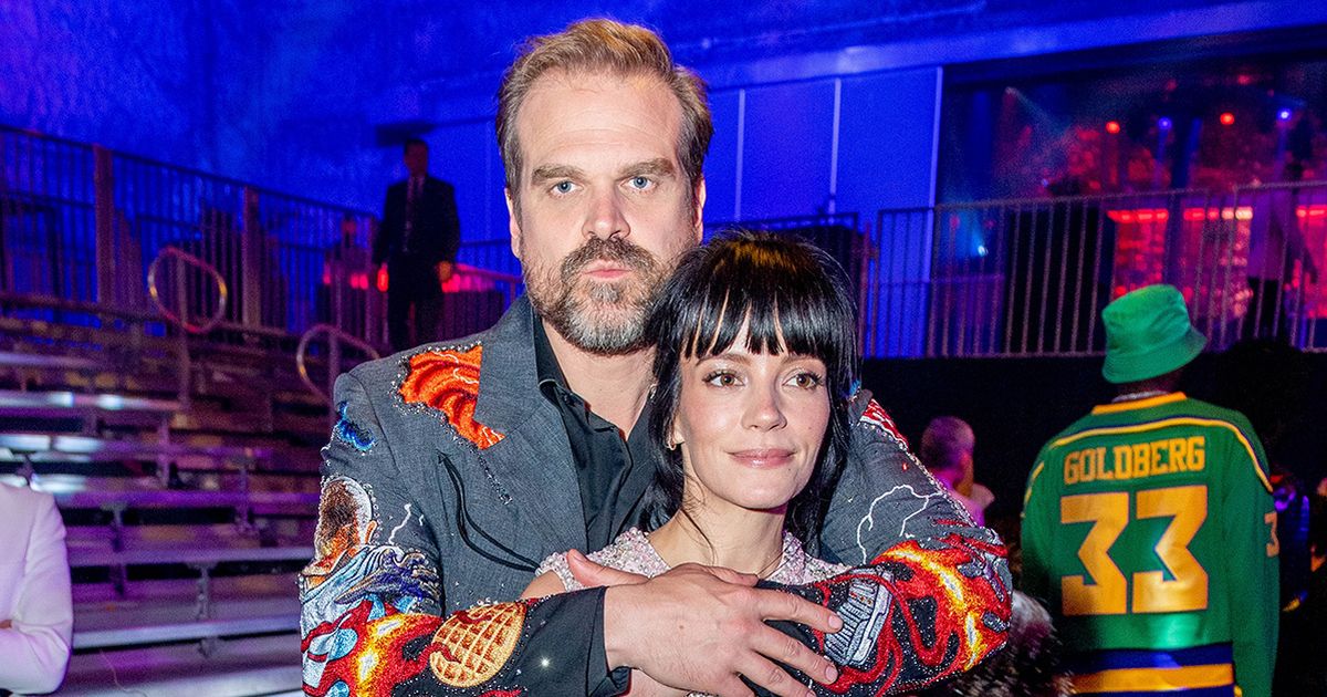 Lily Allen album's most brutal lyrics - every dig at cheating David Harbour - The Mirror
