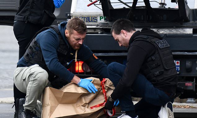 Agent who probed biggest art theft in history discusses Louvre heist