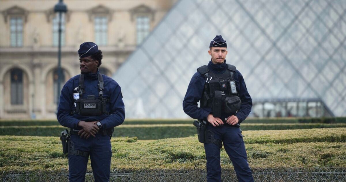 'Cultural terrorist' thieves that stole jewels from Louvre 'will do this next'