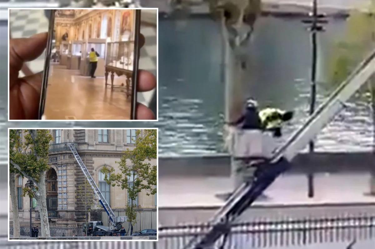 Wild new footage reveals Louvre robbers' slow getaway with $100M in...
