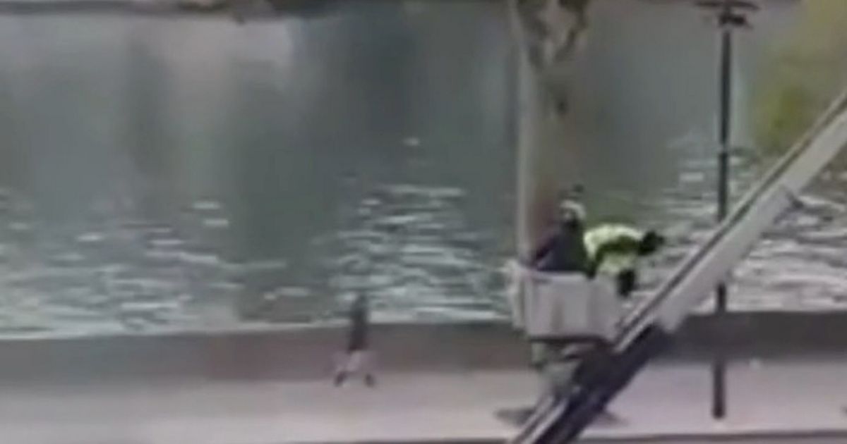 Louvre thieves caught on camera making slow getaway with French crown jewels - The Mirror