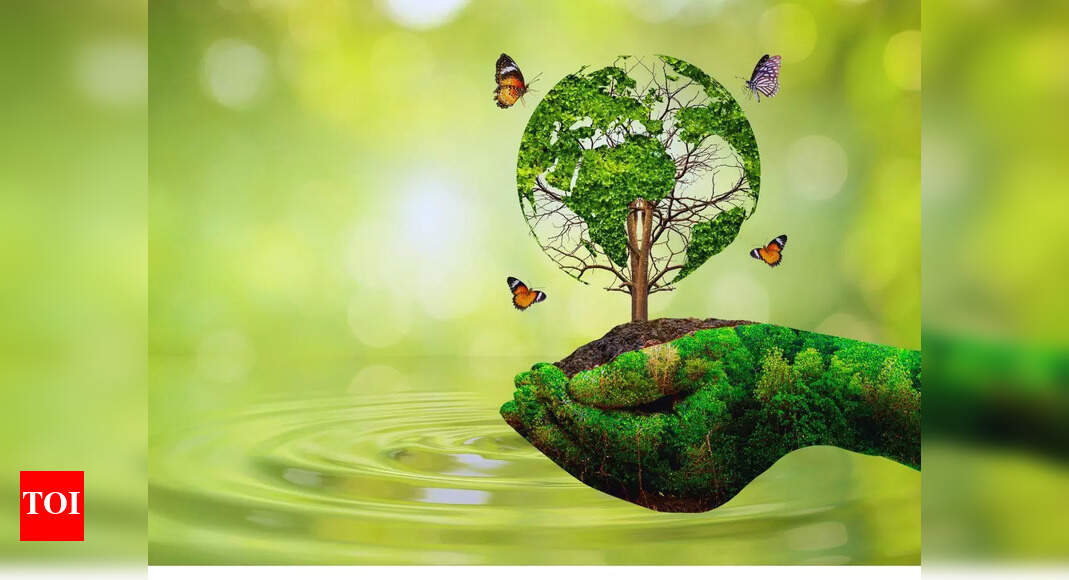 The new luxury: Why 'High-Value, Low-Impact' is the future of travel - The Times of India