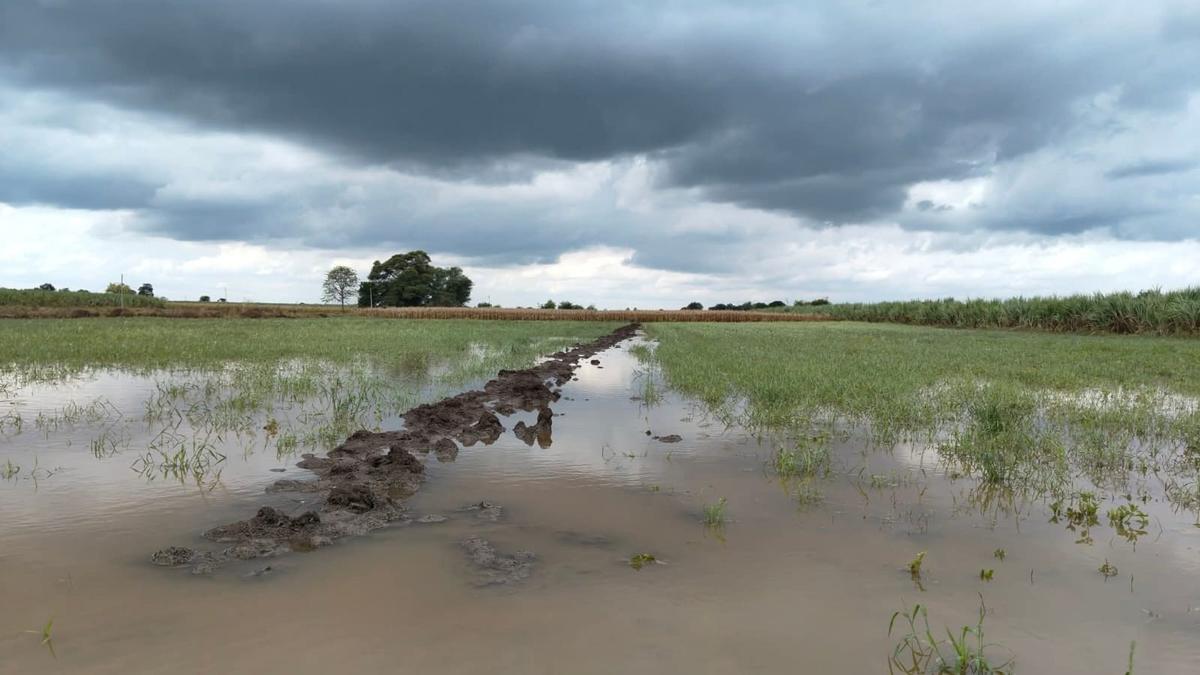 Unseasonal rains push Maharashtra's onion farmers to indefinite protest
