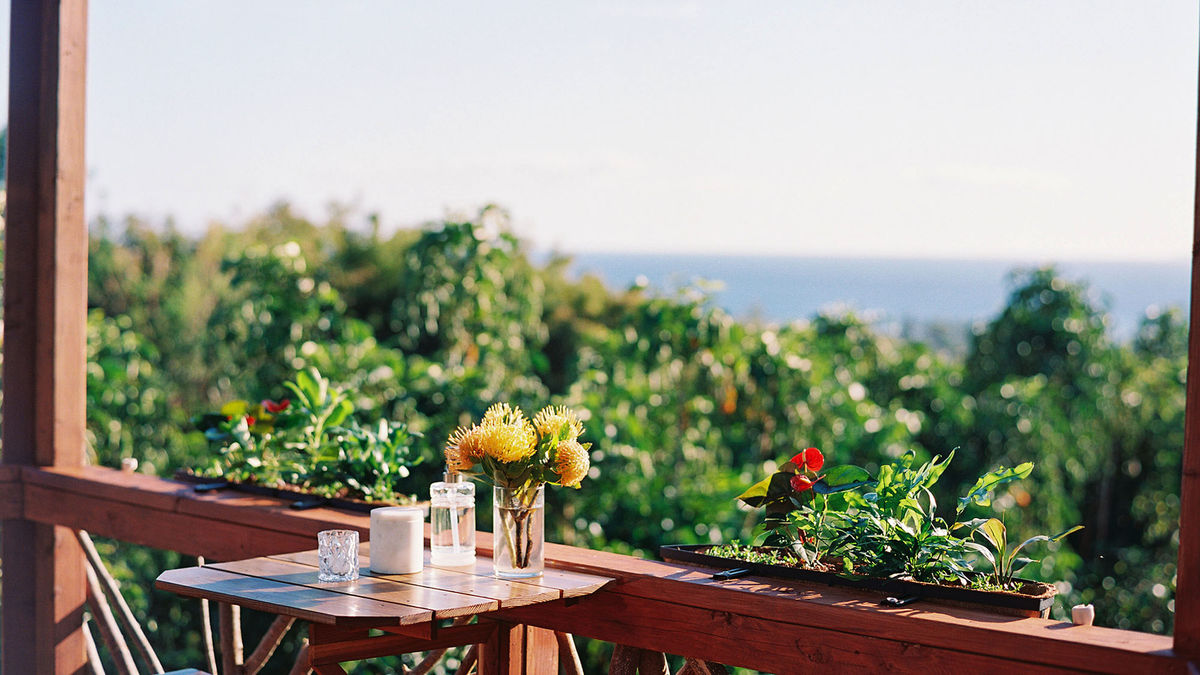 Maui Chocolate Tour adds a treehouse lunch experience