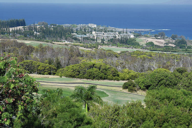 Legal feud over Maui water expands to land | Honolulu Star-Advertiser