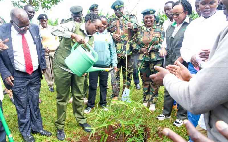Planting trees on Mazingira Day will not save our environment