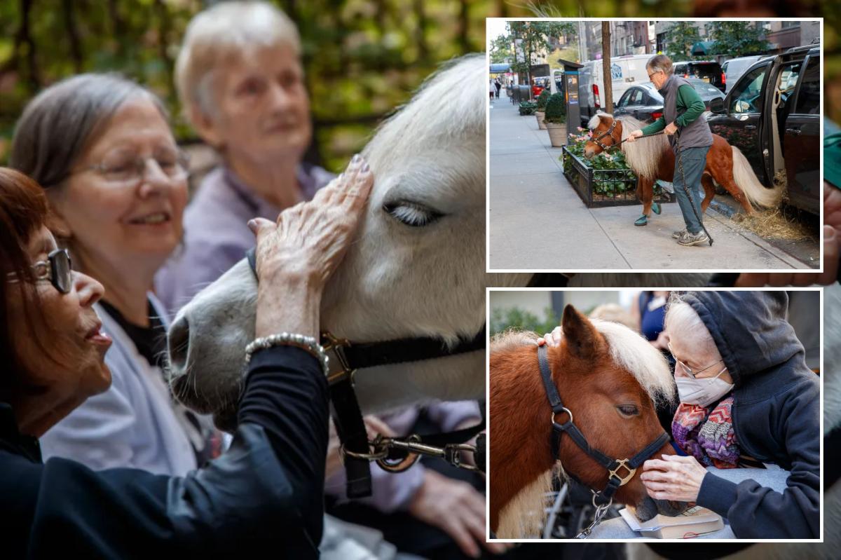 Adorable mini horses are helping NYC's elderly with depression,...