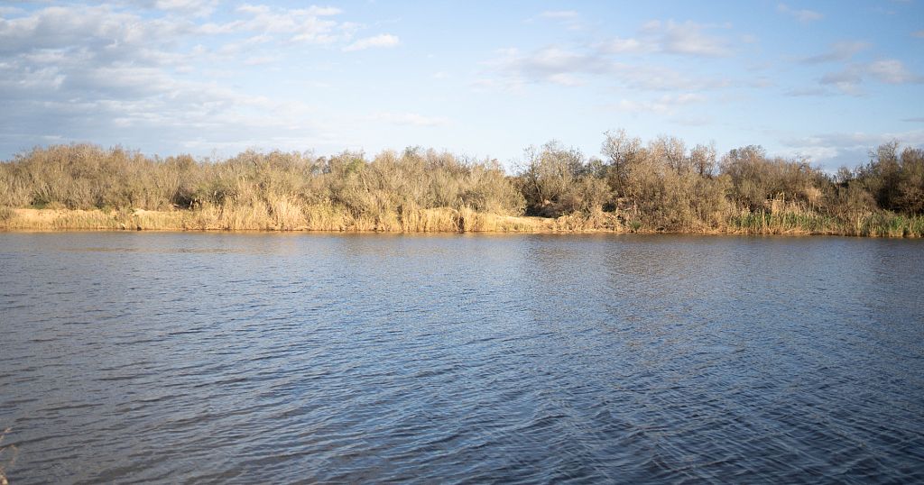 Heavy rain causes major flood damage in Morocco's Nador province