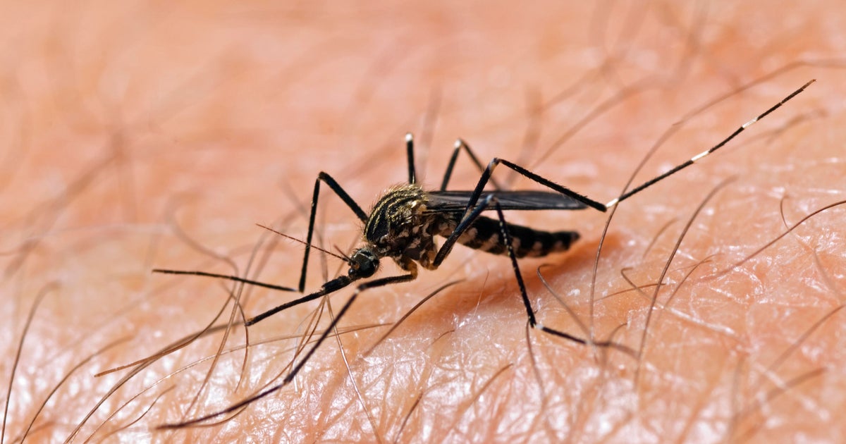 Rare but deadly mosquito-borne virus found in trapped insects in Fulton County, health officials say