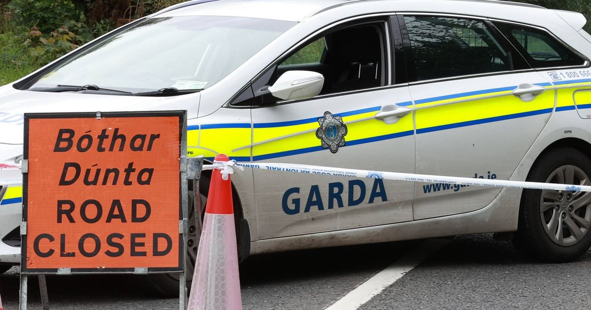 Motorcyclist, 50s, dies in single-vehicle crash in Co. Limerick