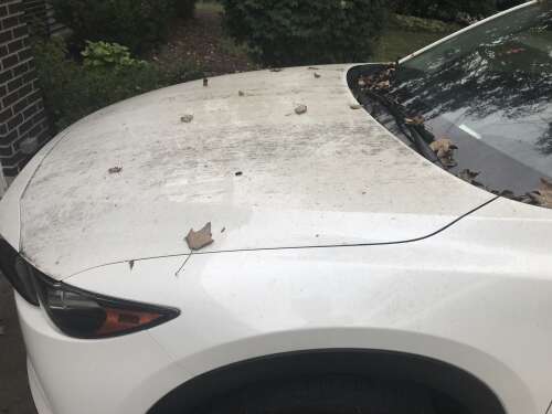 Mystery soot alarming Mount Prospect residents who report sticky residue on cars, homes