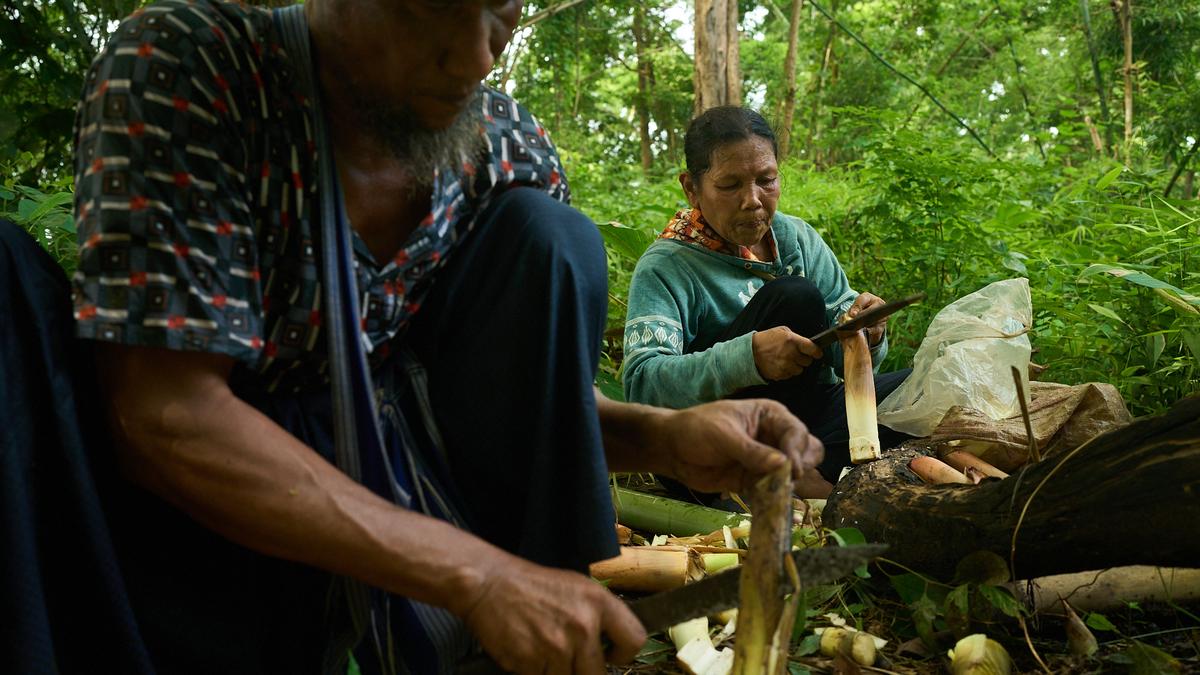 Starving children scream for food as U.S. aid cuts unleash devastation, death across Myanmar