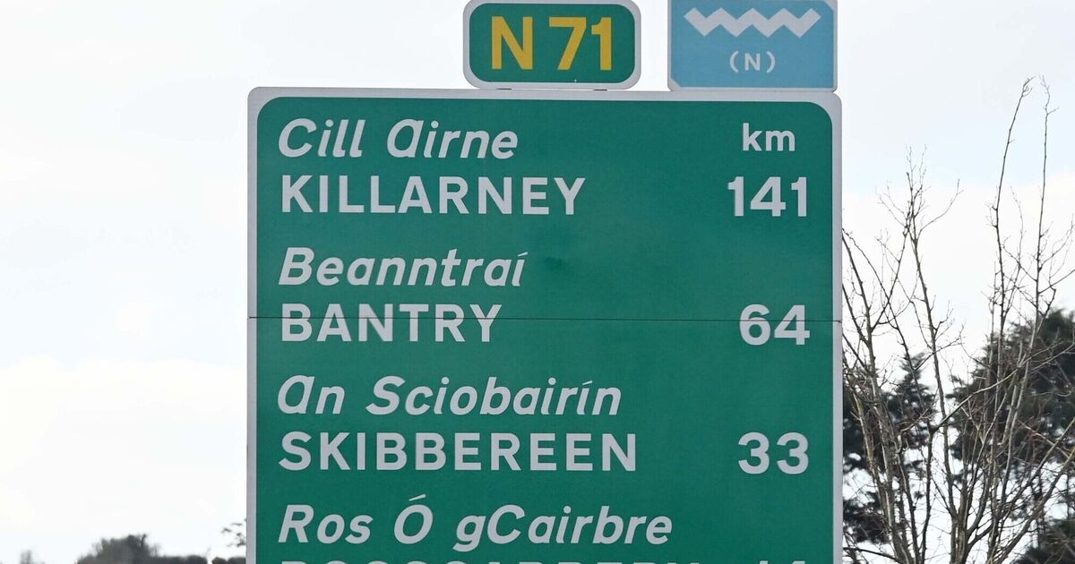 Transport Infrastructure Ireland has 'totally neglected' Cork's N71, says councillor