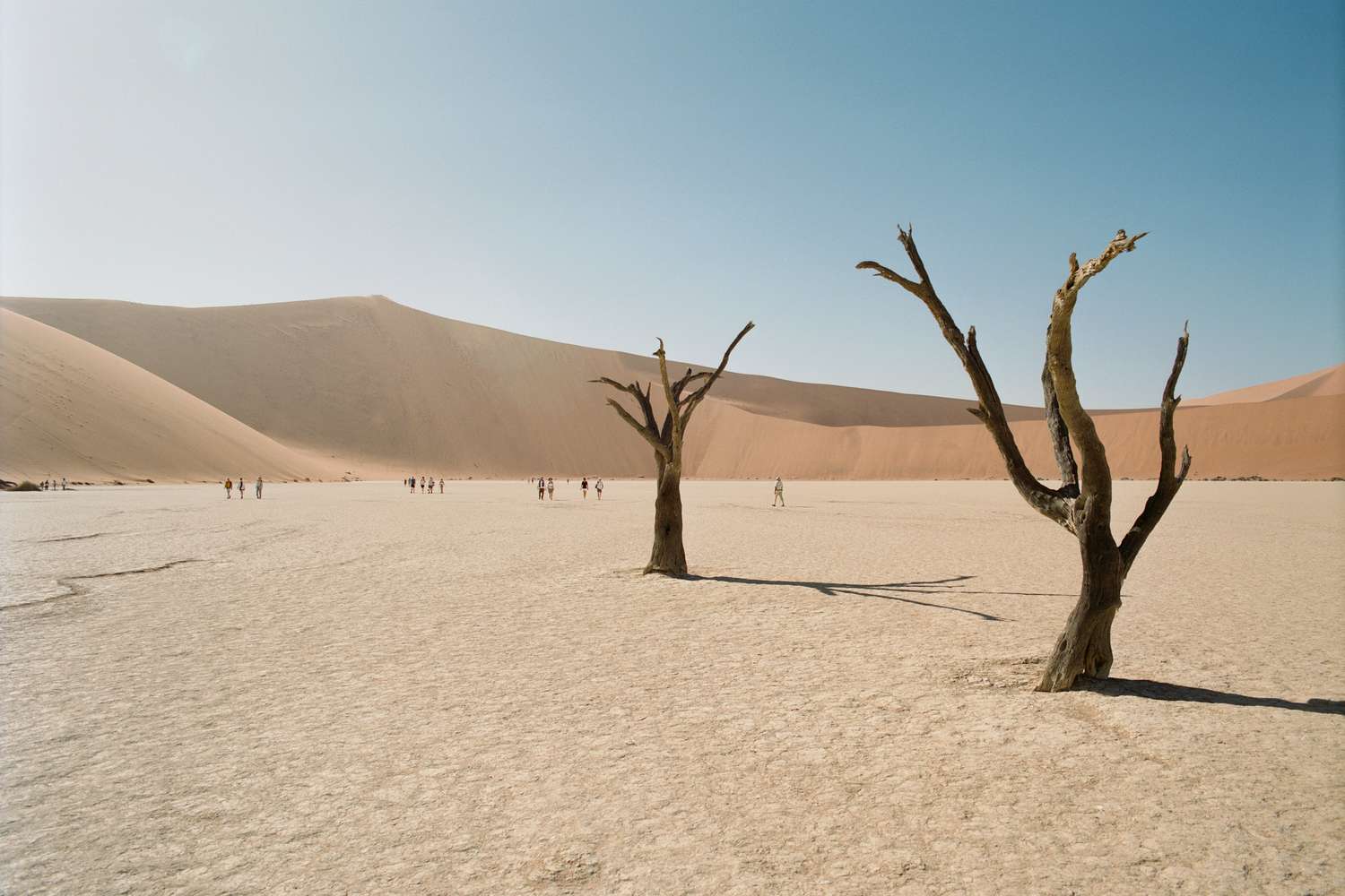 I Took an Epic Adventure to Visit Some of Namibia's Finest Lodges -- And Learned What Life in the Desert is Really Like