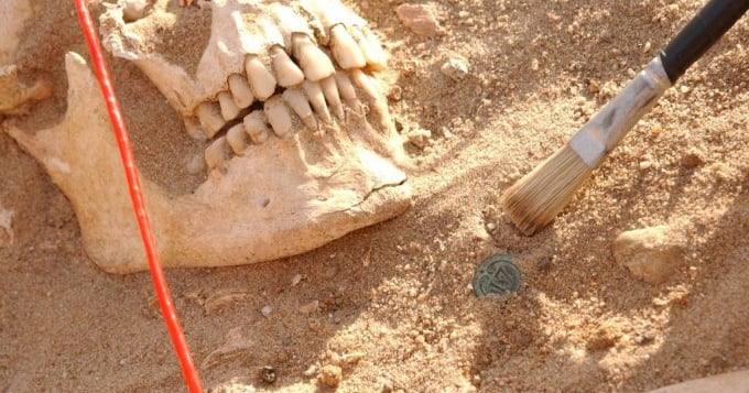 Napoleon's Army Collapsed From Typhoid, Relapsing Fever, Study Finds