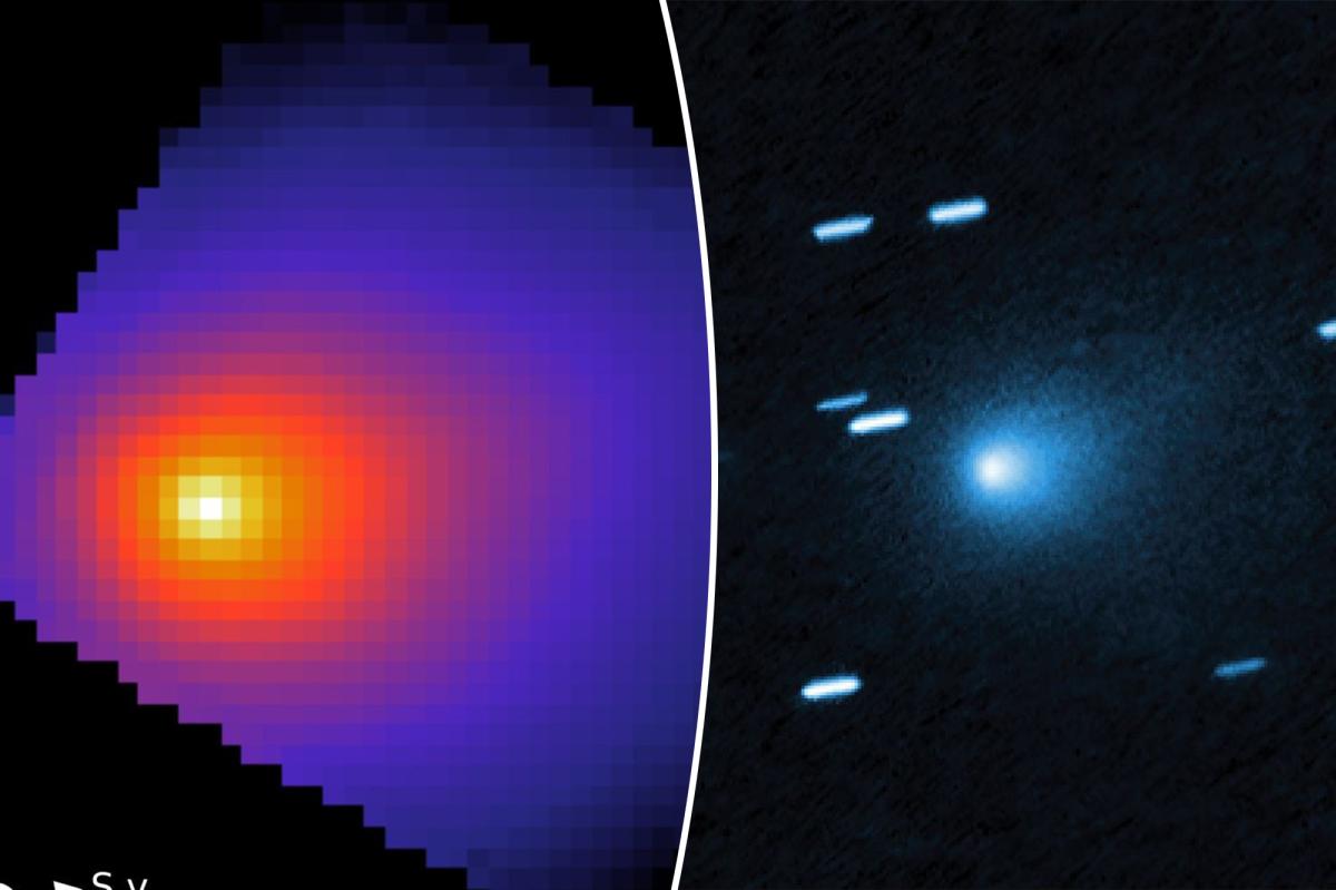 Could mysterious Manhattan-sized comet be a 'black swan event?': 'The...
