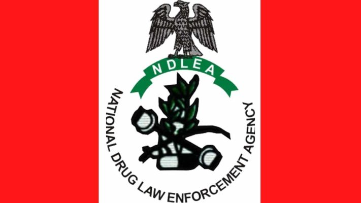 NDLEA arrests businessman who excreted 127 cocaine pellets at Kano airport