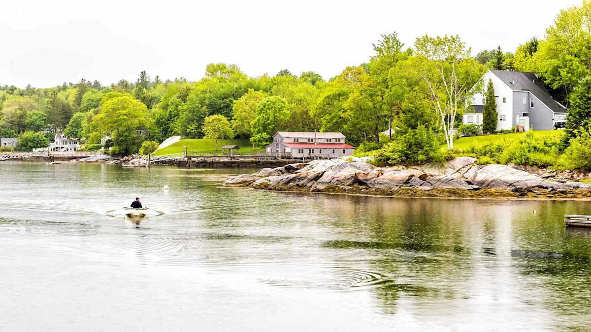 Neighbors accused of destroying elderly woman's property for personal gain: 'Completely smacks of privilege'