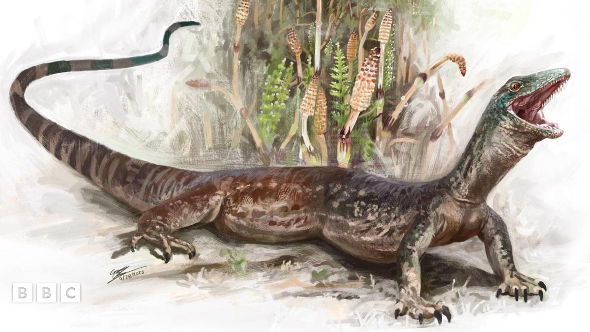 New Jurassic reptile discovered in Scotland