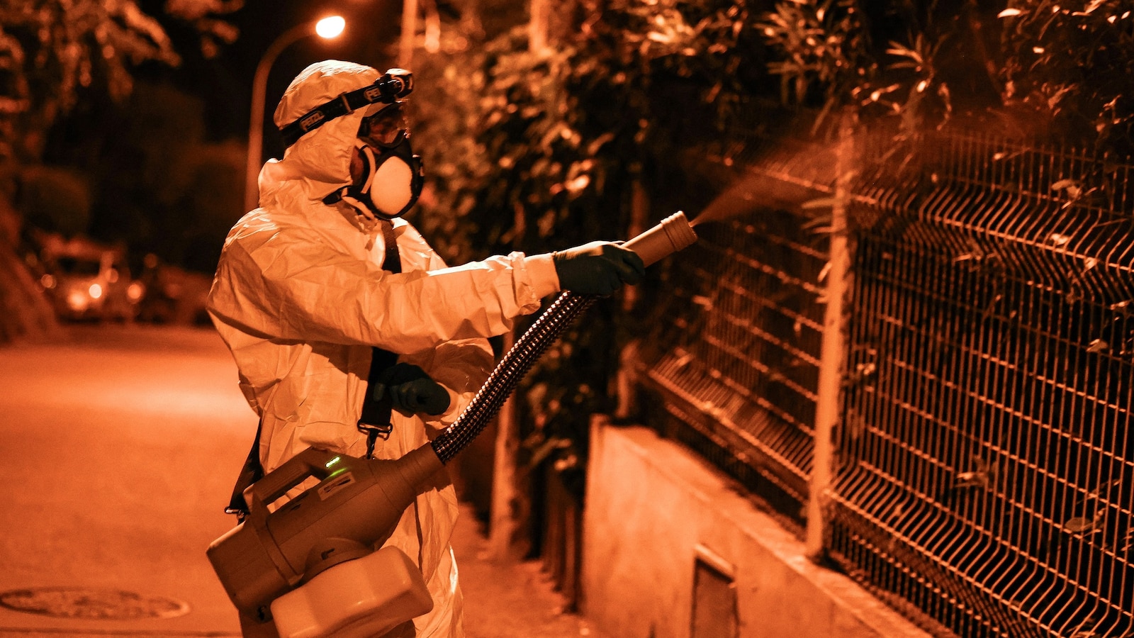 New York confirms 1st locally acquired case of chikungunya virus in 6 years in US