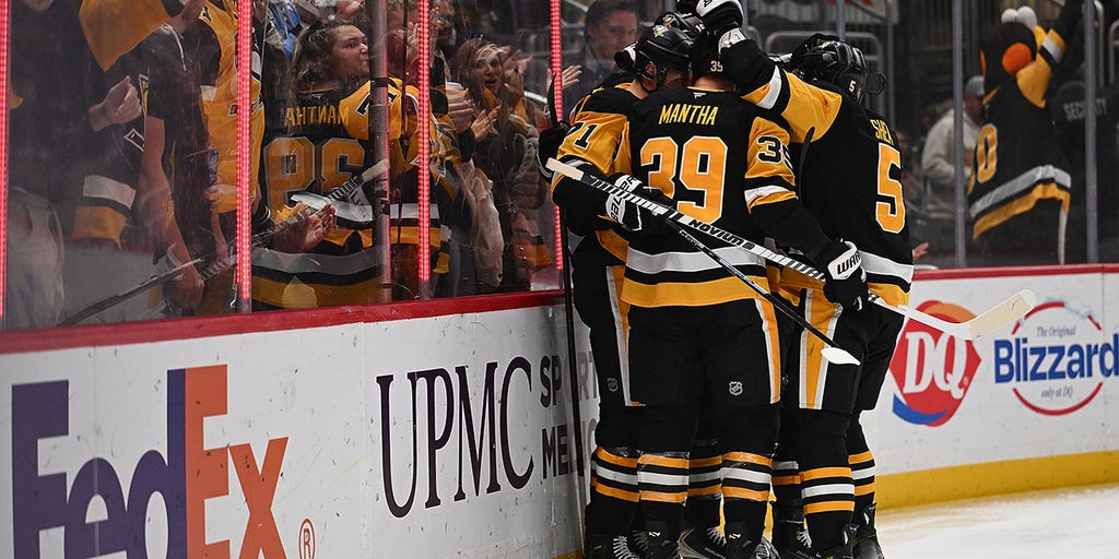 NHL fan falls from upper concourse during Penguins game