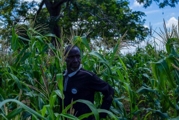 Inside Nigeria's Criminal Rosewood Economy