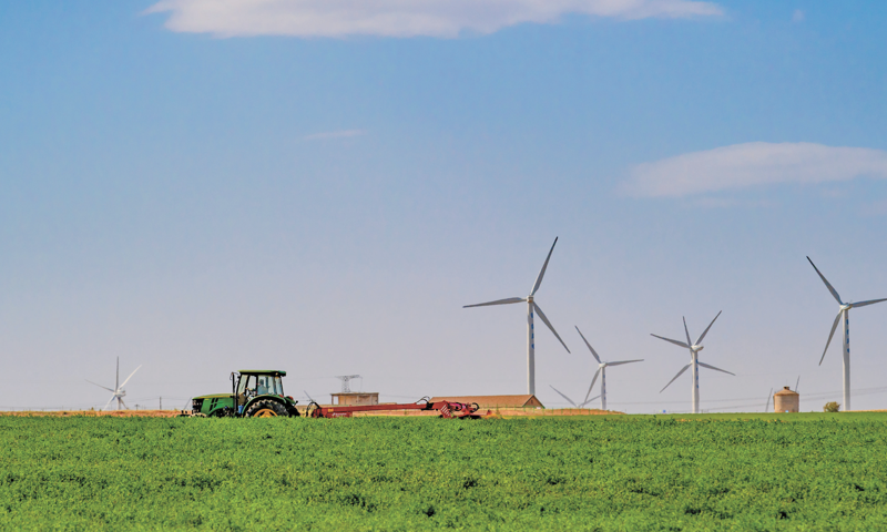 In Ningxia's Hongsibu, 'zan jin' women - capable, daring, resilient, and unyielding - craft inspiring stories of triumph, weaving dreams into reality