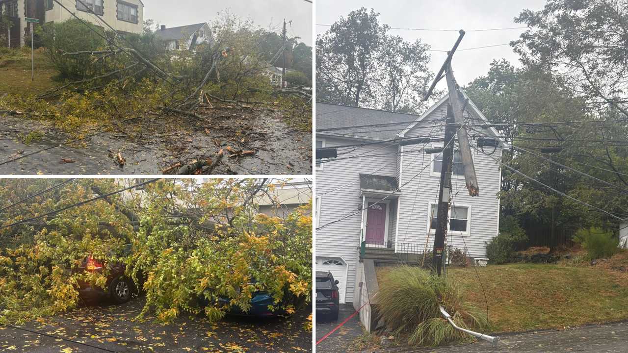 Nor'easter Leaves Hundreds In Dark, Trees, Branches Snapped In Rockland