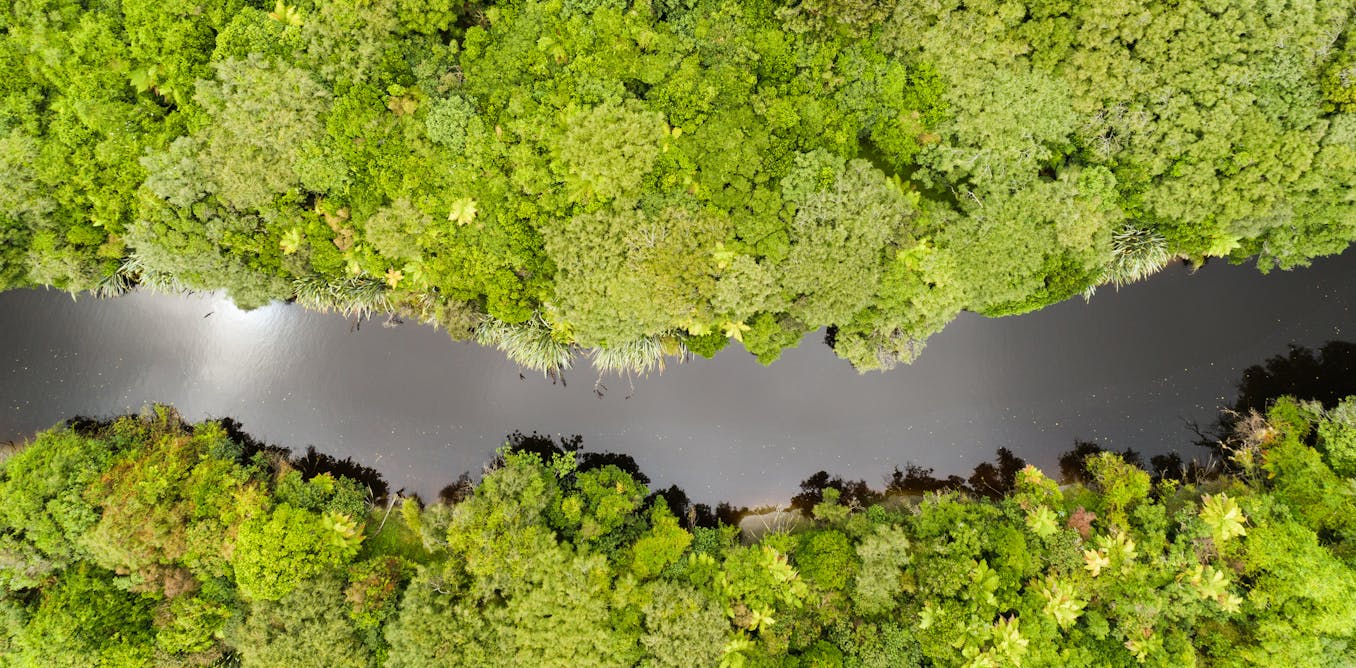 Reform of NZ's protected lands is overdue - but the public should decide about economic activities
