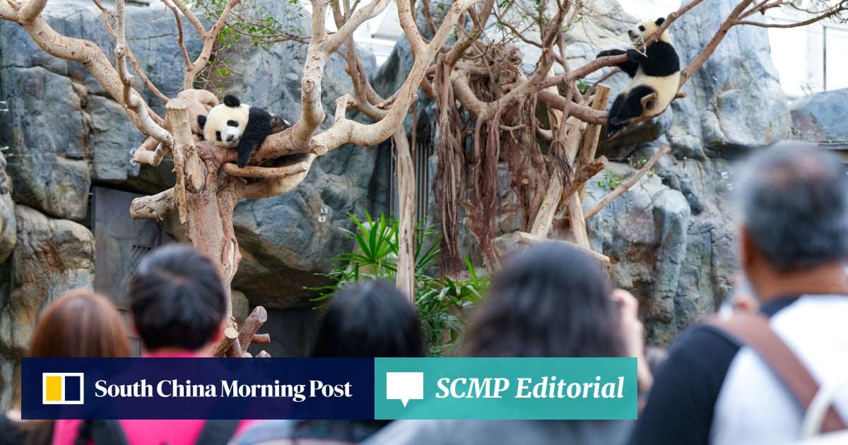 Editorial | Pandas alone won't save Hong Kong's Ocean Park in the long term