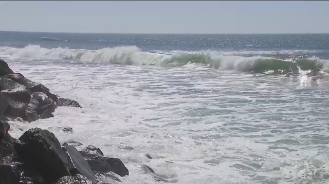 Re:Beach project aims to restore Oceanside's eroding coastline