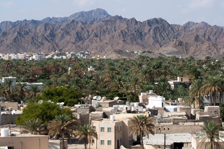 Over 1,000sqkm cleared of invasive mesquite trees across Oman