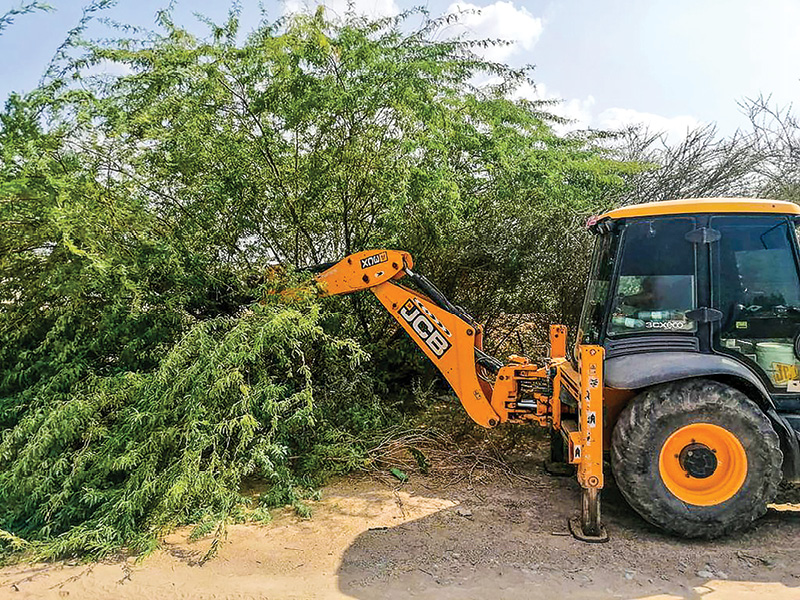 Over 1,000sqkm cleared of invasive mesquite trees across Oman