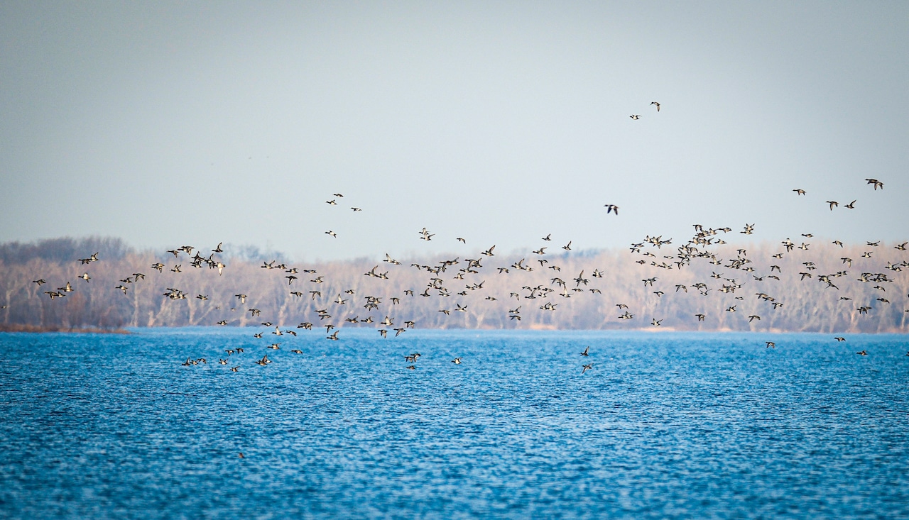 Take a guided nature walk on Onondaga Lake's West Shore Trail on Sunday