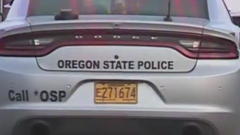 Pedestrian fatally struck on Oregon highway, driver sought