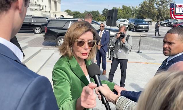 Nancy Pelosi explodes at reporter as she's escorted down Capitol steps