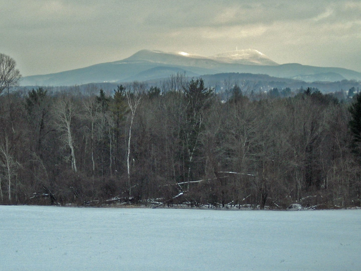 Juvenile fatally shot in Pittsfield - The Boston Globe