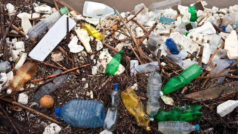 Vast Majority of Litter Removed From Streams Is Plastic: Study