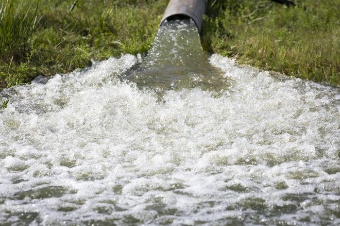 Flooded Polder Helps Fight Mosquito-borne Diseases