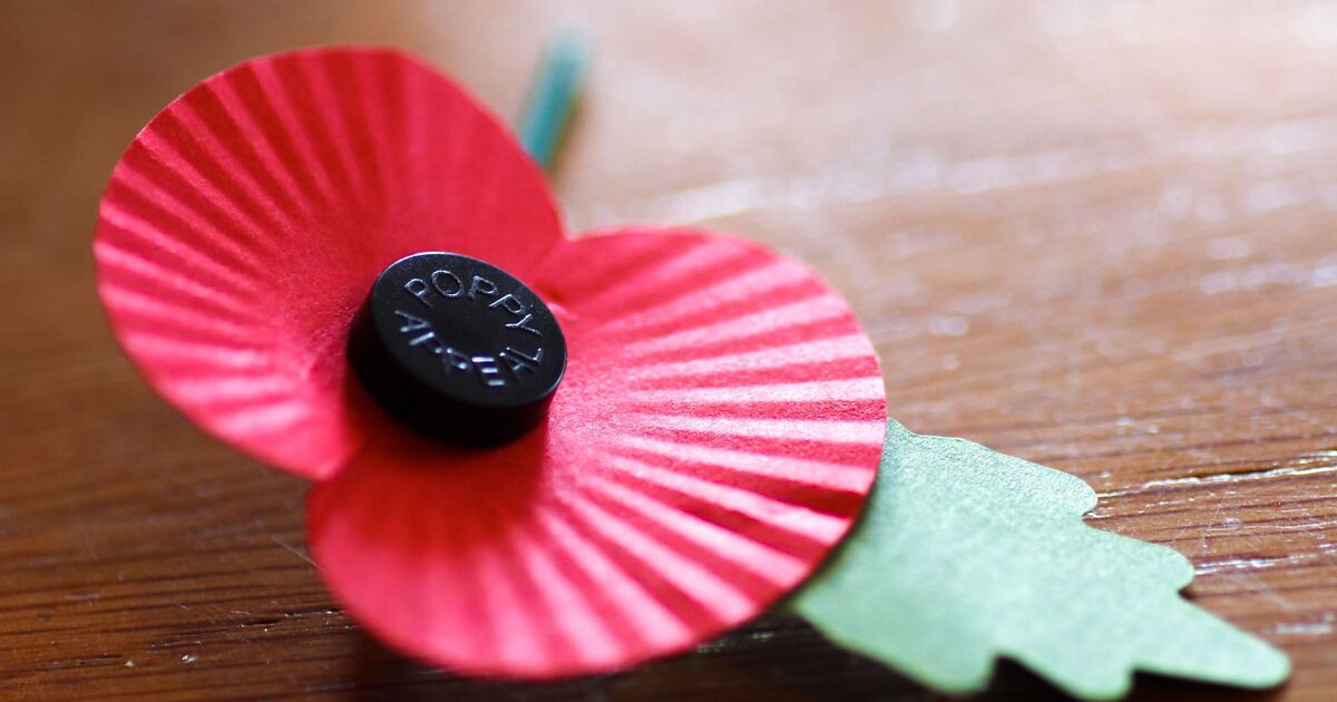 Why you can legally be banned from wearing a poppy at work